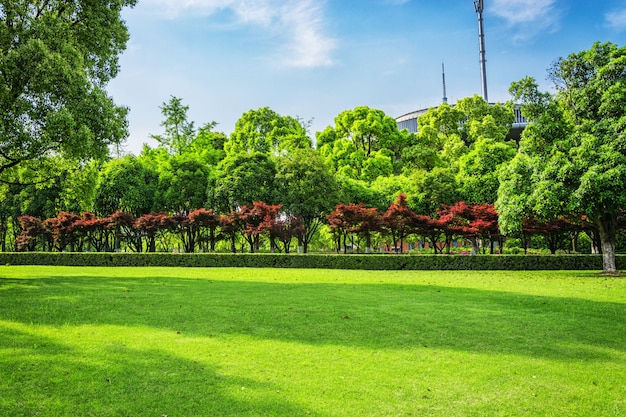 Modern Landscape Design